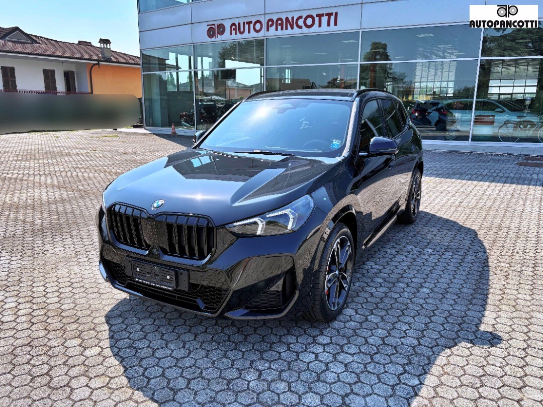 BMW X1            (U11)
