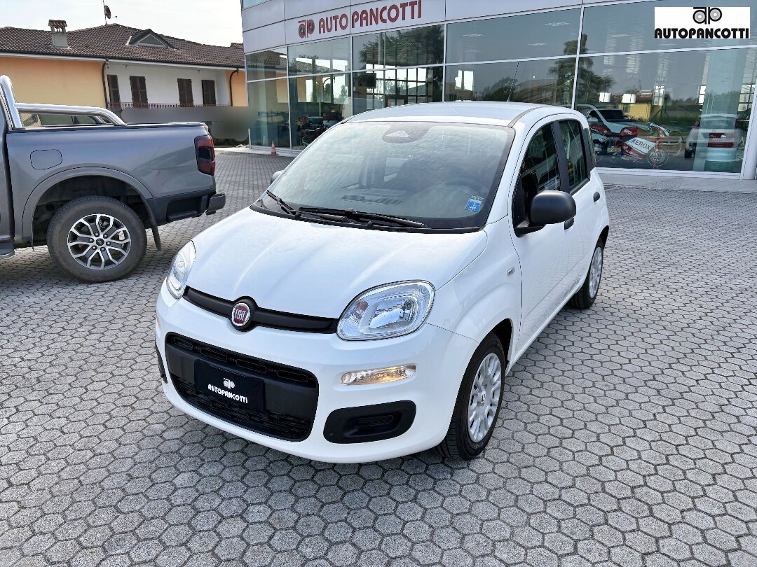 Foto FIAT Pandina